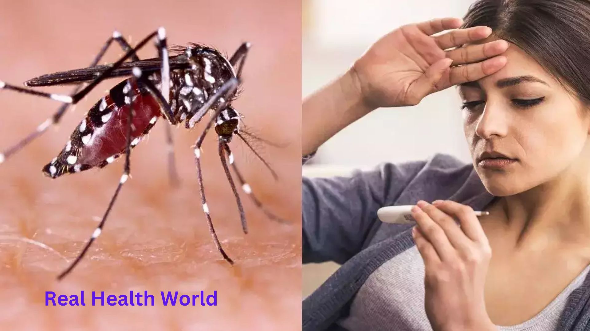 How to protect children from dengue fever
